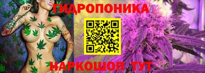 мдпв Владикавказ