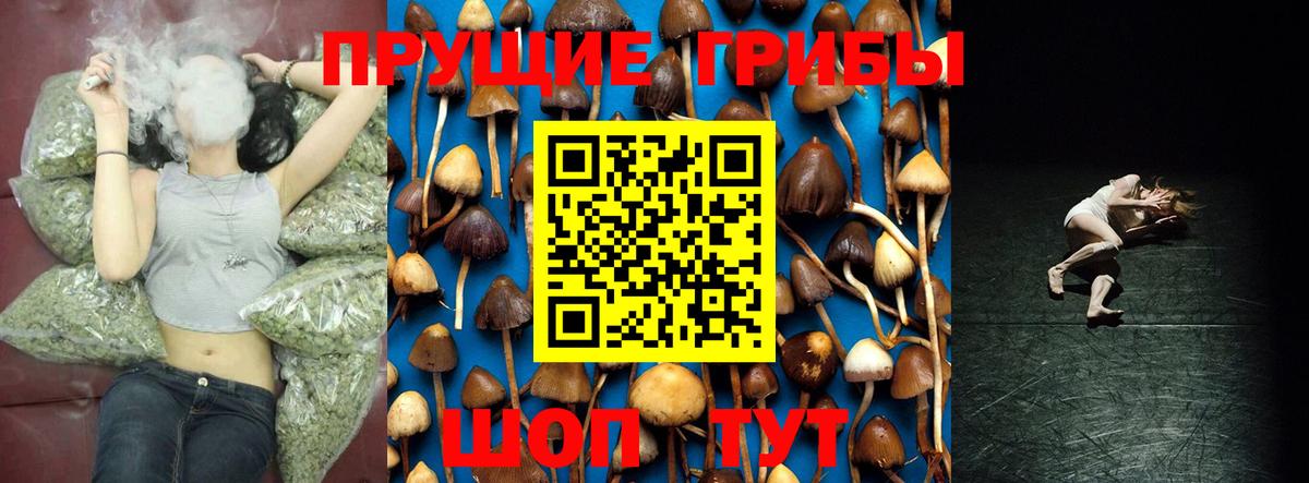 Галлюциногенные грибы мухоморы Брянск