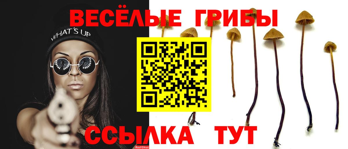 Брянск  Галлюциногенные грибы Magic Shrooms  Вход с VPN  Псилоцибиновые грибы прущие грибы 